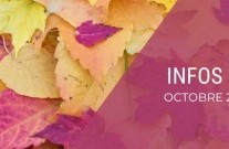 INFOS CP : octobre 2022