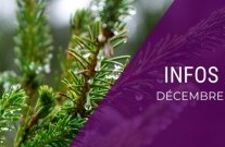 Info CP : décembre  2022