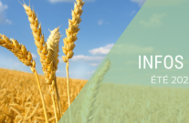 INFOS CP : été 2025