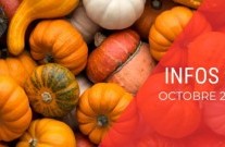 INFOS CP : octobre 2025