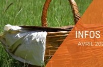 INFOS CP : avril 2026